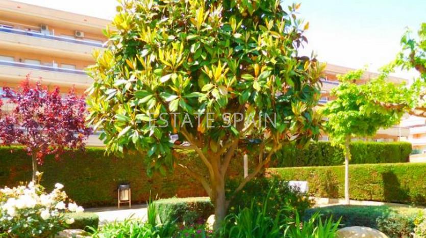 Апартаменты в Бланесе 81 м2 №СBRK1018  - Продажа - 3 preview