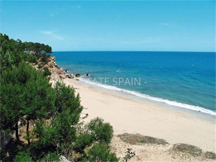 Апартаменты в Майами-Плайя 40 м2 №ART218271244C  - Продажа - 10 large