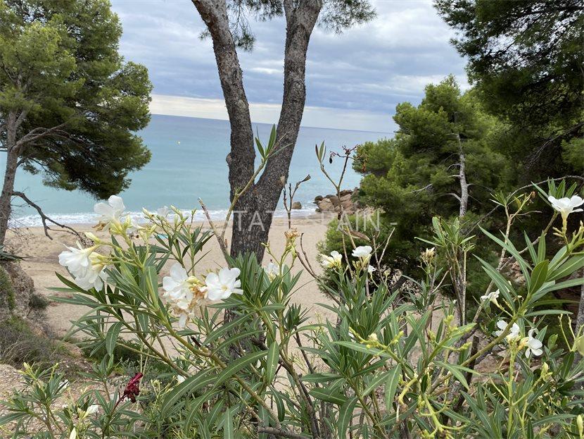 Апартаменты в Майами-Плайя 40 м2 №ART218271244C  - Продажа - 12 large