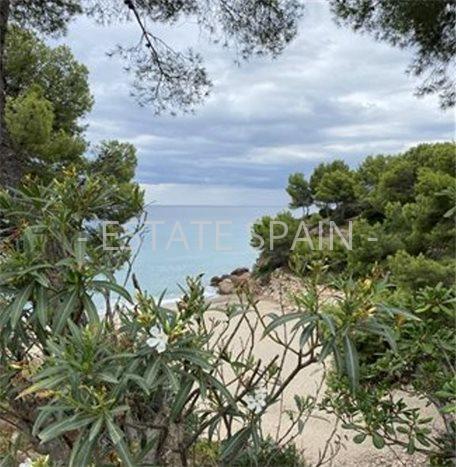 Апартаменты в Майами-Плайя 40 м2 №ART218271244C  - Продажа - 13 preview