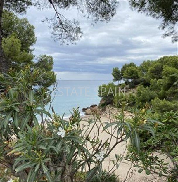 Апартаменты в Майами-Плайя 40 м2 №ART218271244C  - Продажа - 13 large