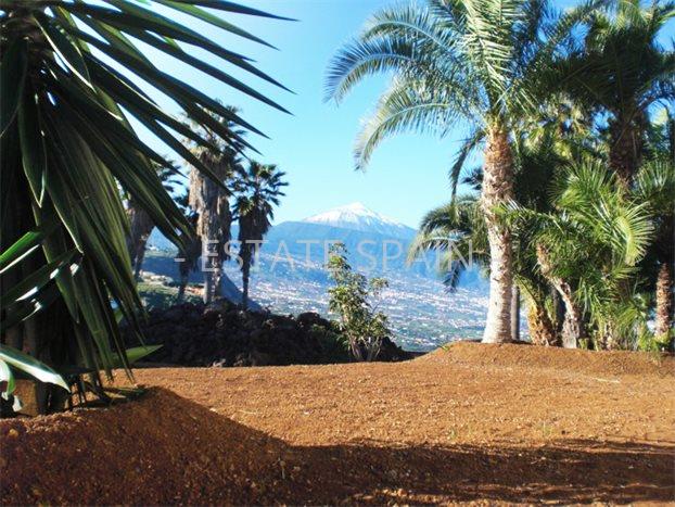 Вилла в Санта-Урсула 1243 м2 №VL1988EB86F  - Продажа - 22 preview