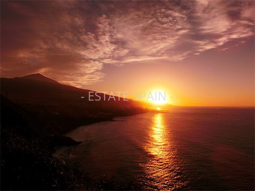 Вилла в Санта-Урсула 1243 м2 №VL1988EB86F  - Продажа - 26 large