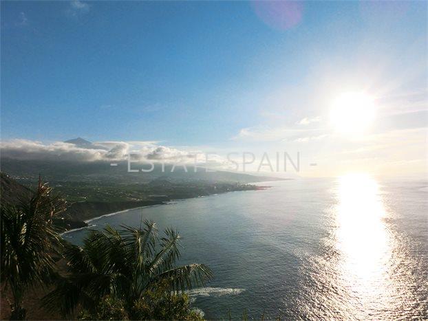 Вилла в Санта-Урсула 1243 м2 №VL1988EB86F  - Продажа - 27 preview