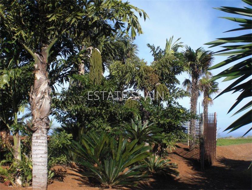 Вилла в Санта-Урсула 1243 м2 №VL1988EB86F  - Продажа - 28 large