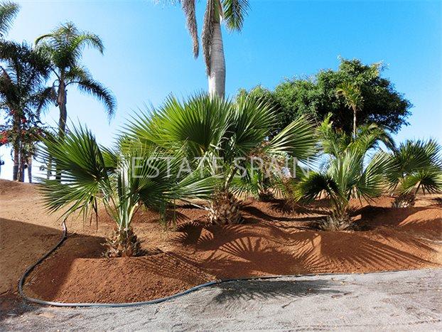 Вилла в Санта-Урсула 1243 м2 №VL1988EB86F  - Продажа - 25 preview