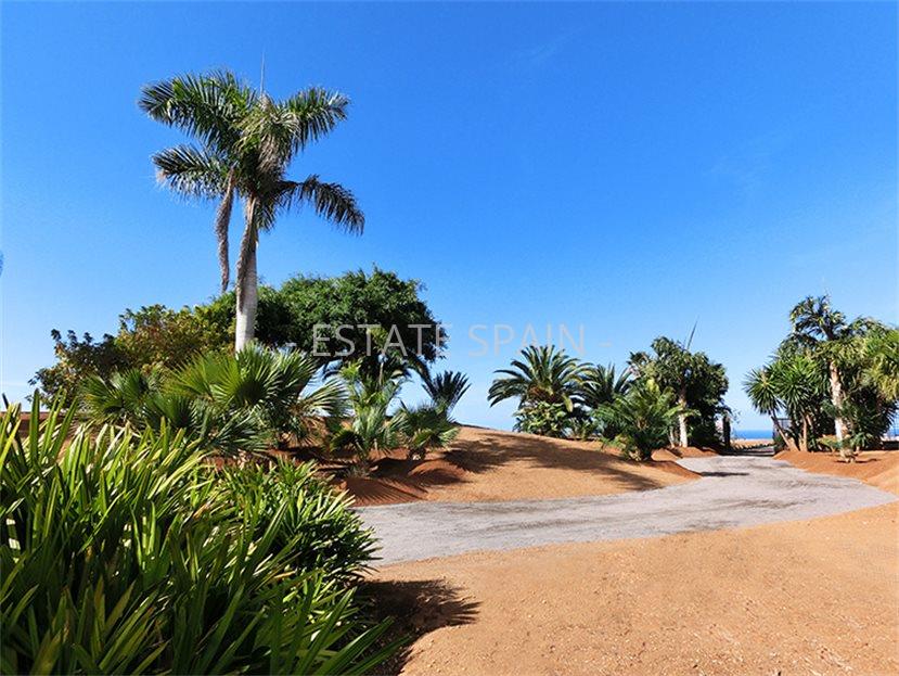 Вилла в Санта-Урсула 1243 м2 №VL1988EB86F  - Продажа - 23 large