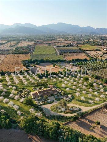 Вилла в Инка 430 м2 №VL25122579ED  - Продажа - 16 preview