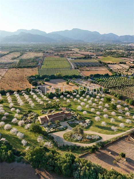 Вилла в Инка 430 м2 №VL25122579ED  - Продажа - 16 large