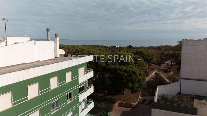 Бунгало в Гуардамар-дель-Сегура 53 м2 №BL259171141F  - Продажа - 18 preview