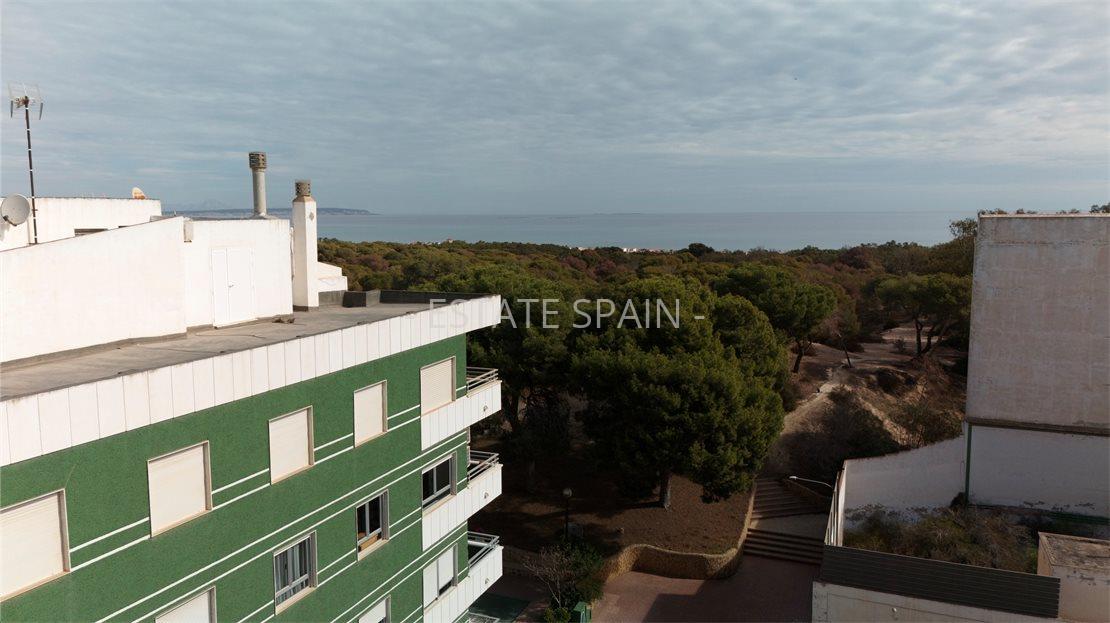 Бунгало в Гуардамар-дель-Сегура 53 м2 №BL259171141F  - Продажа - 18 large