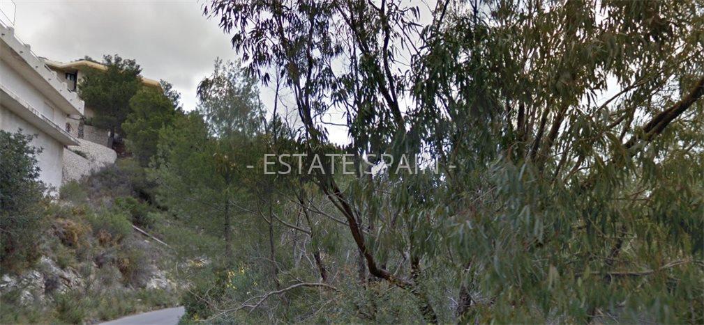 Участок в Альтее 2290 м2 №PL2131741B85  - Продажа - 3 preview