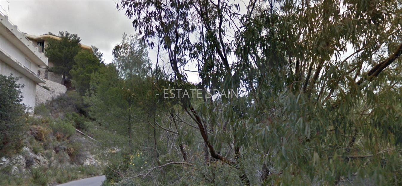 Участок в Альтее 2290 м2 №PL2131741B85  - Продажа - 3 large