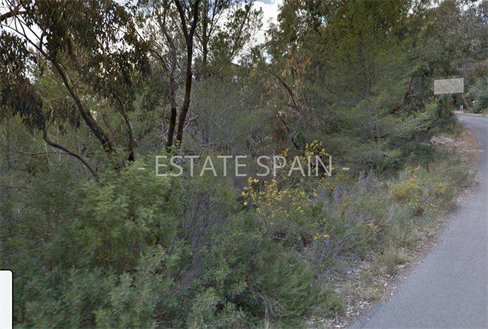 Участок в Альтее 2290 м2 №PL2131741B85  - Продажа - 1 preview