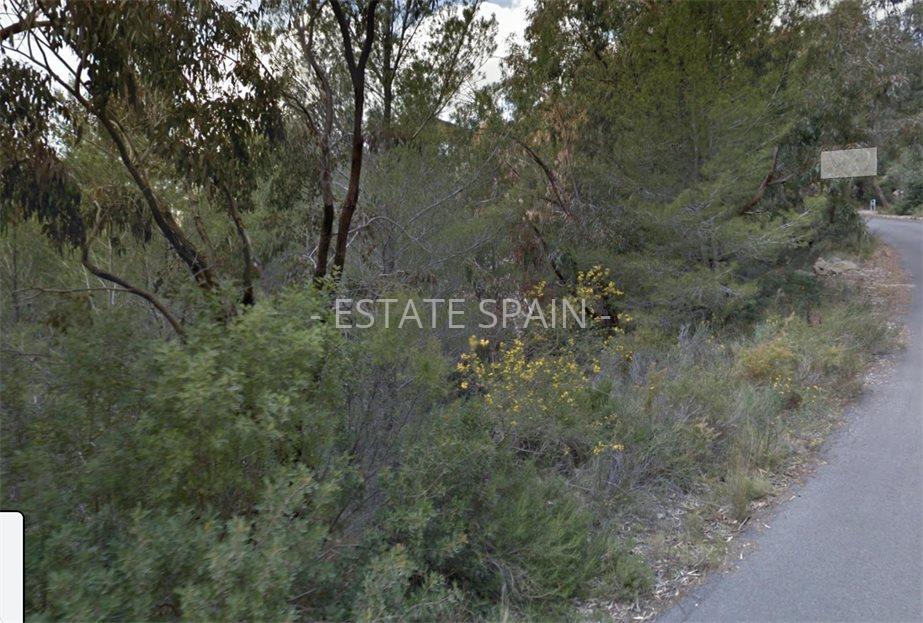 Участок в Альтее 2290 м2 №PL2131741B85  - Продажа - 1 large