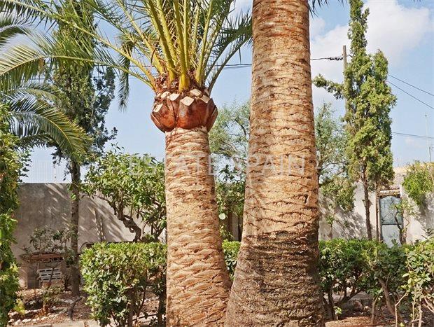 Шале в Пальма-де-Майорка 301 м2 №BL191125C9AAB  - Продажа - 8 preview