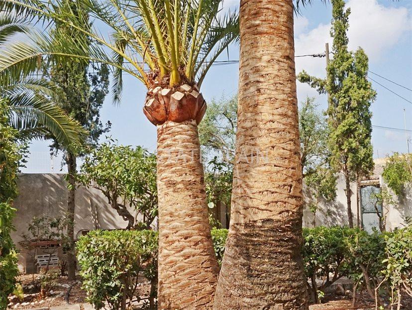 Шале в Пальма-де-Майорка 301 м2 №BL191125C9AAB  - Продажа - 8 large