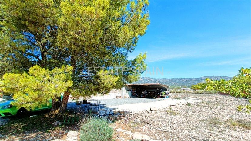 Вилла в Пиносо 174 м2 №VL2486ED82B  - Продажа - 38 preview