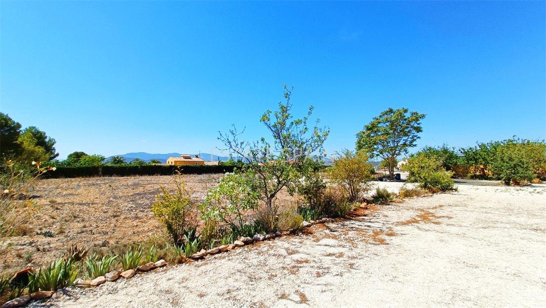 Вилла в Пиносо 174 м2 №VL2486ED82B  - Продажа - 40 large