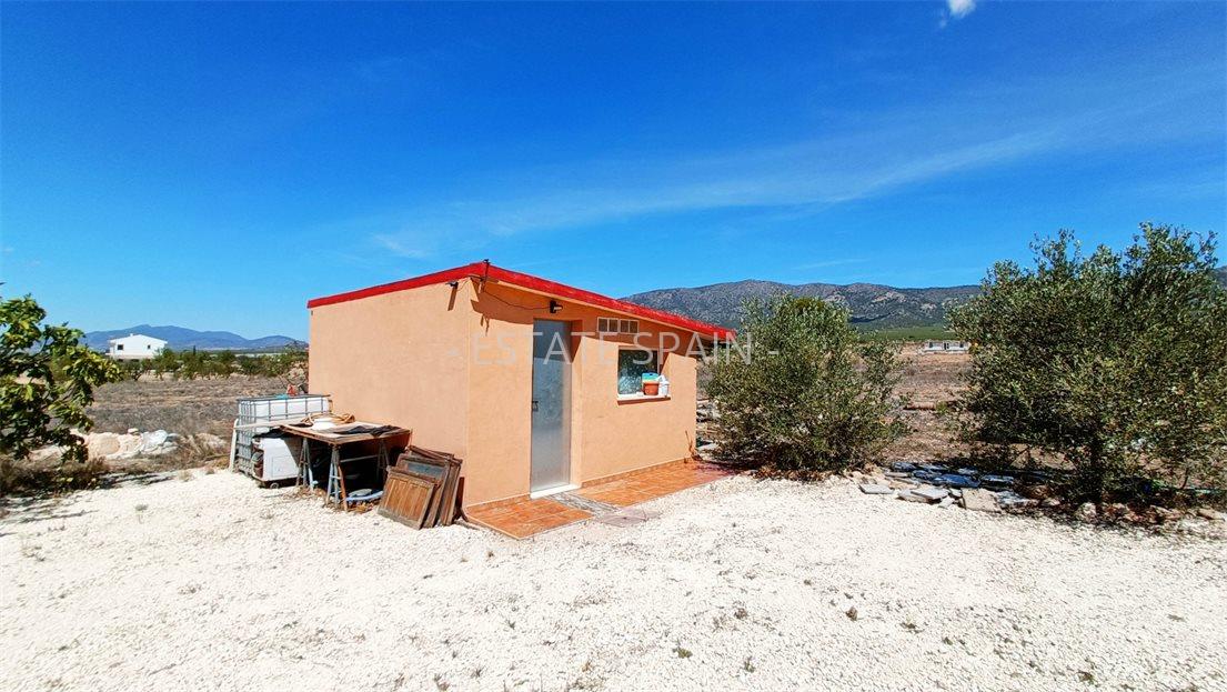 Вилла в Пиносо 174 м2 №VL2486ED82B  - Продажа - 37 large