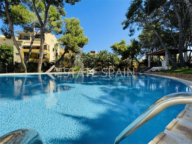 Апартаменты в Санта-Понсе 102 м2 №ART2496C3AD6  - Продажа - 16 preview