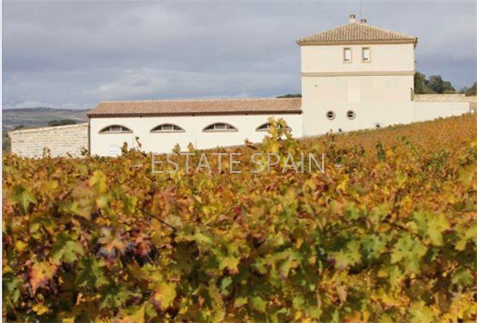 Коммерческая в Ронде 300 м2 №COM2141578D88  - Продажа - 1 preview