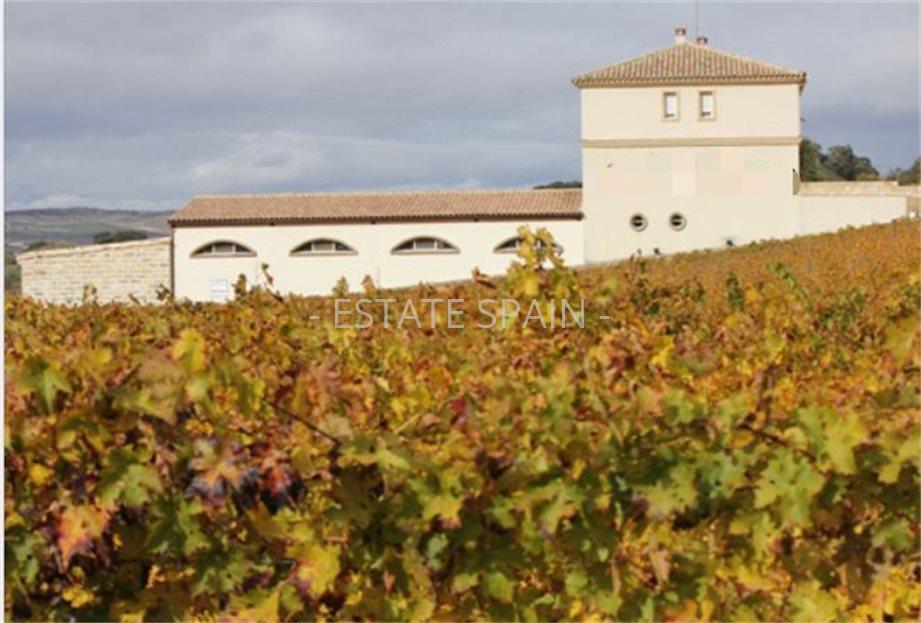 Коммерческая в Ронде 300 м2 №COM2141578D88  - Продажа - 1 large