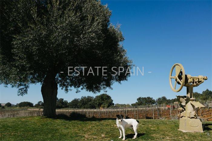 Коммерческая в Ронде 300 м2 №COM2141578D88  - Продажа - 11 preview