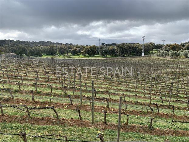 Коммерческая в Ронде 300 м2 №COM2141578D88  - Продажа - 3 preview