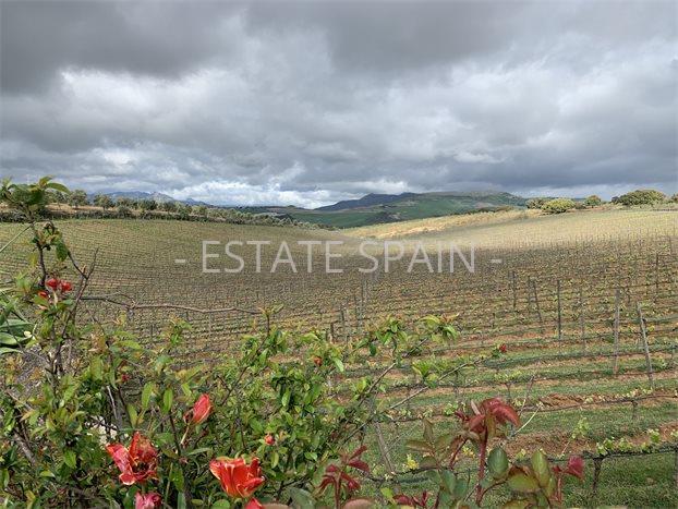 Коммерческая в Ронде 300 м2 №COM2141578D88  - Продажа - 9 preview