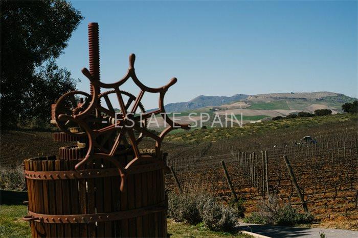 Коммерческая в Ронде 300 м2 №COM2141578D88  - Продажа - 12 preview