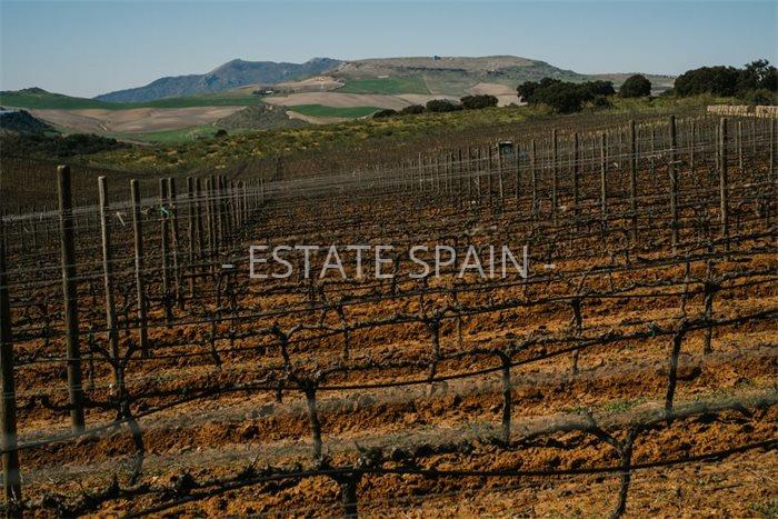 Коммерческая в Ронде 300 м2 №COM2141578D88  - Продажа - 13 preview