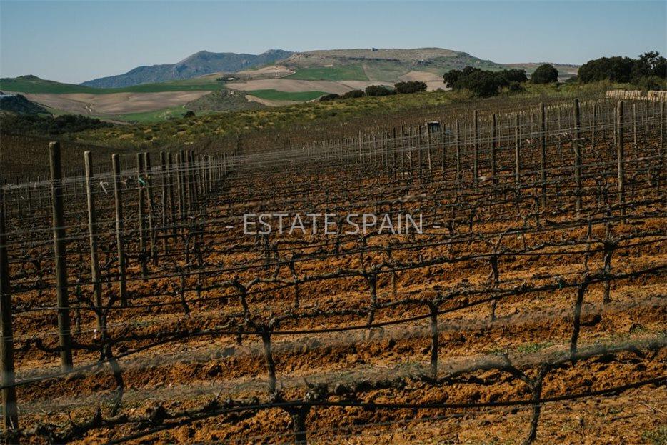 Коммерческая в Ронде 300 м2 №COM2141578D88  - Продажа - 13 large