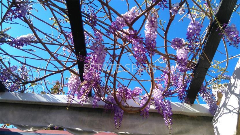 Дуплекс в Саладильо-Бенамара 85 м2 №TAU18221672F  - Продажа - 5 preview