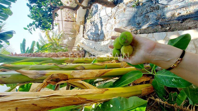 Вилла в Эль-Кампельо 700 м2 №VL22107C77C3  - Продажа - 37 preview