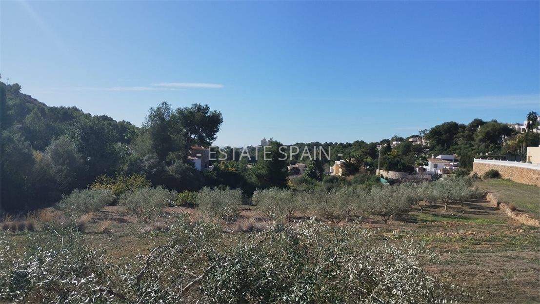 Участок в Морайре 7000 м2 №COM2463C2676  - Продажа - 1 large