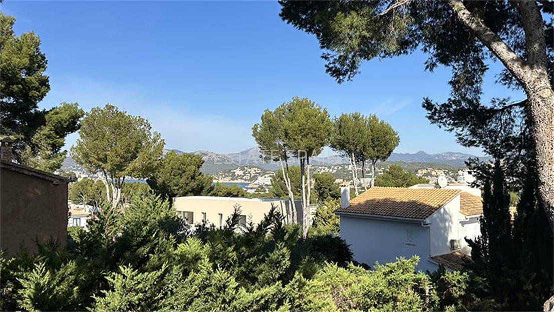 Вилла в Санта-Понсе 235 м2 №VL24358FEBC  - Продажа - 11 large