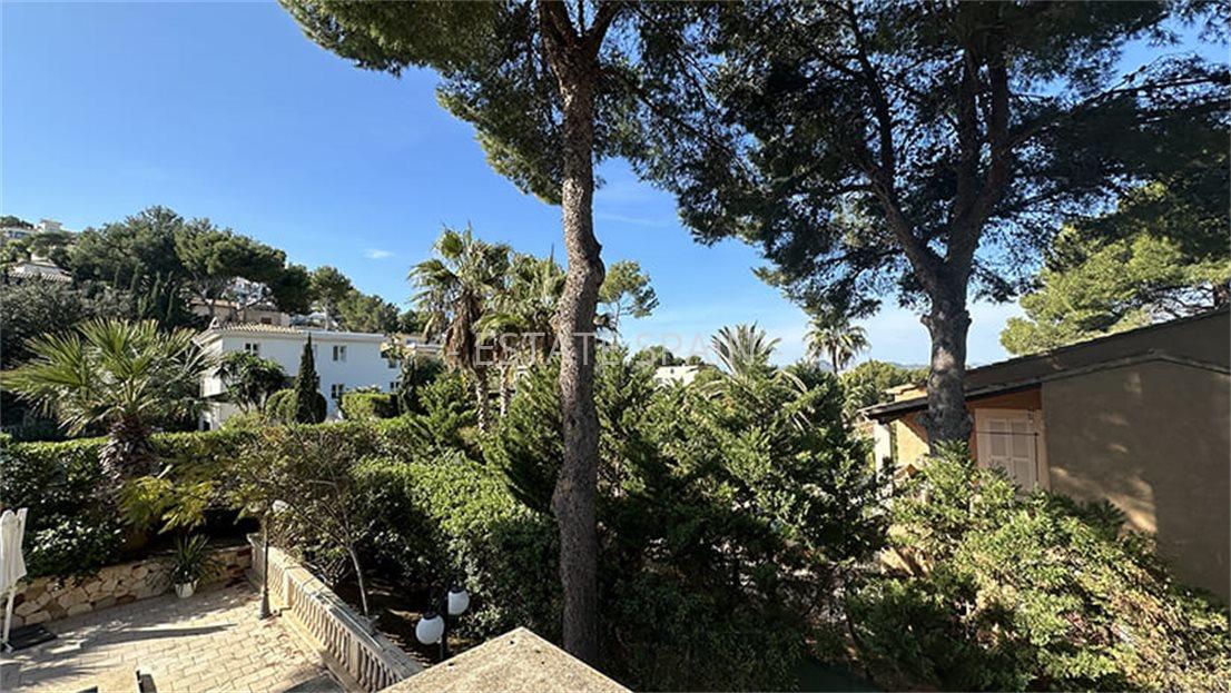 Вилла в Санта-Понсе 235 м2 №VL24358FEBC  - Продажа - 10 large