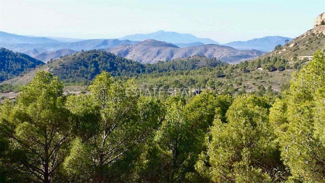 Сельский дом в Касталья 414 м2 №VL201215A55AF  - Продажа - 68 large