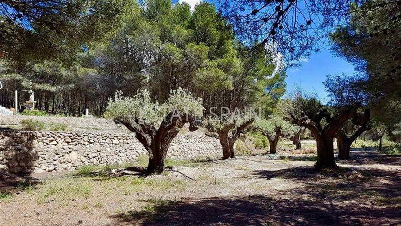 Сельский дом в Касталья 414 м2 №VL201215A55AF  - Продажа - 63 preview