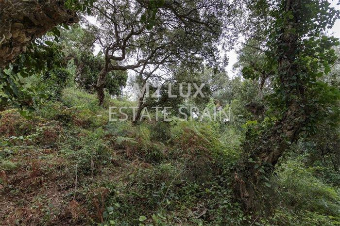 Участок в Ллорет-де-Маре 555 м2 №PL171212294F  - Продажа - 10 preview