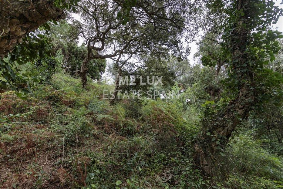 Участок в Ллорет-де-Маре 555 м2 №PL171212294F  - Продажа - 10 large