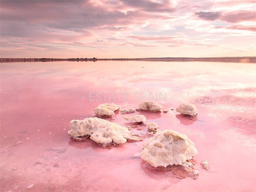 Апартаменты в Торревьехе 141 м2 №ART251092B671  - Продажа - 5 large