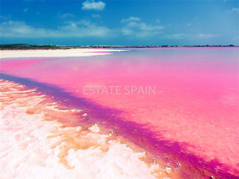 Апартаменты в Торревьехе 141 м2 №ART251092B671  - Продажа - 6 large