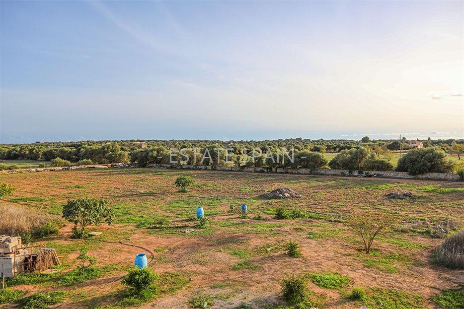 Вилла в Кампос 500 м2 №VL26123DA2C2  - Продажа - 11 large