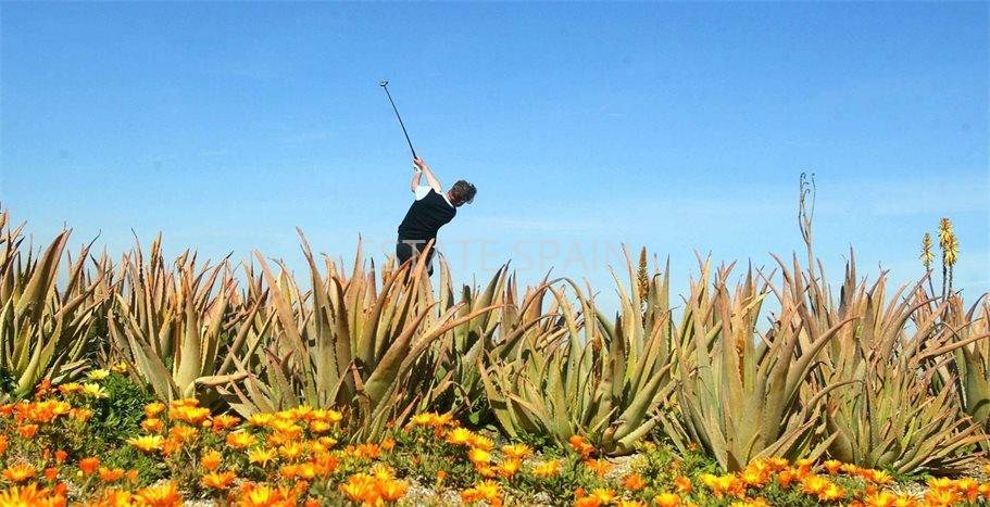 Вилла в Куэвас-дель-Альмансора 135 м2 №VL251010C0678  - Продажа - 12 preview