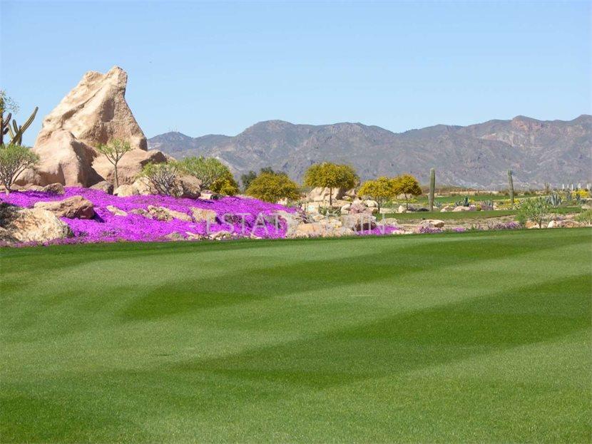 Вилла в Куэвас-дель-Альмансора 135 м2 №VL251010C0678  - Продажа - 10 large