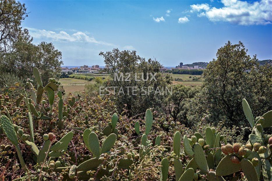 Участок в Калонже 1160 м2 №PL20817F6814  - Продажа - 8 large