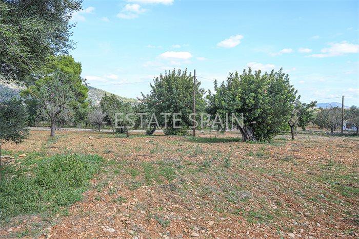 Дом в Бинисалеме 120 м2 №VL20116CE91D  - Продажа - 11 preview