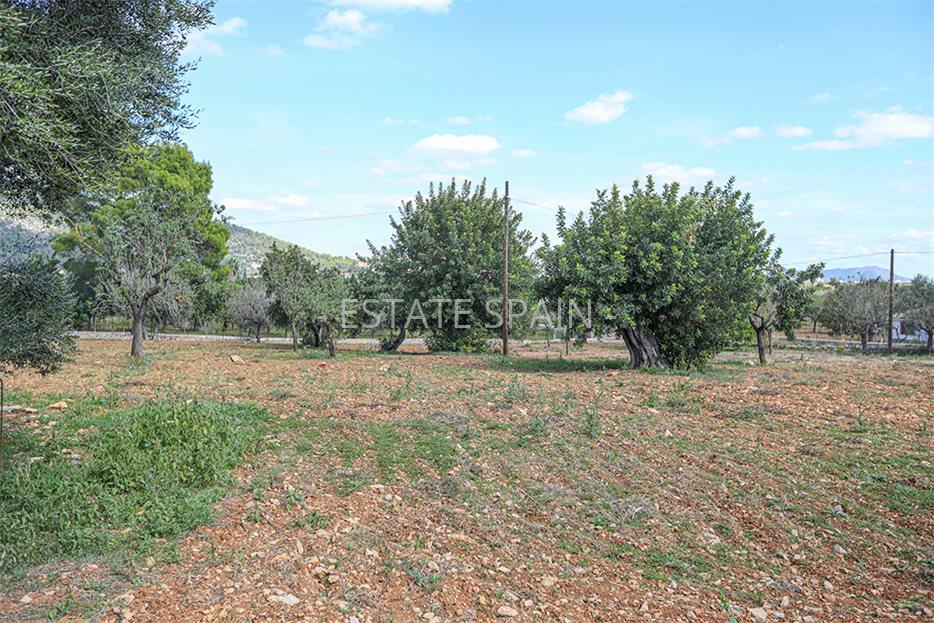 Дом в Бинисалеме 120 м2 №VL20116CE91D  - Продажа - 11 large